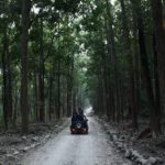 uttarakhand forest travel