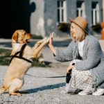 dog and owner