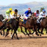 horse race
