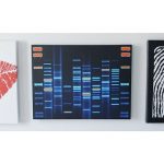 home decor dna art