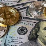 bitcoin government purchase