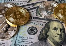 bitcoin government purchase