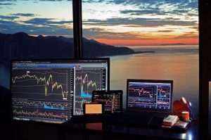 crypto trends