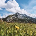 mountain grass and cloud