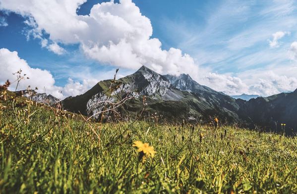 Mountain grass and cloud