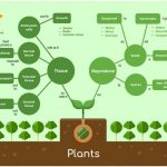 venngage plant flowchart