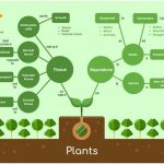 Venngage plant flowchart