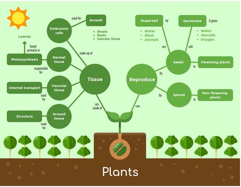 venngage plant flowchart