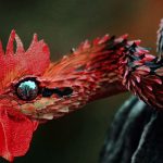 snaken