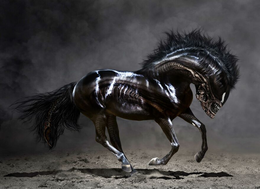 Xenomorse