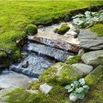 moss in shade gardens
