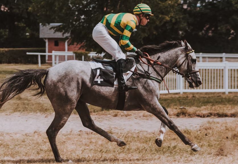 Man riding horses and jumping