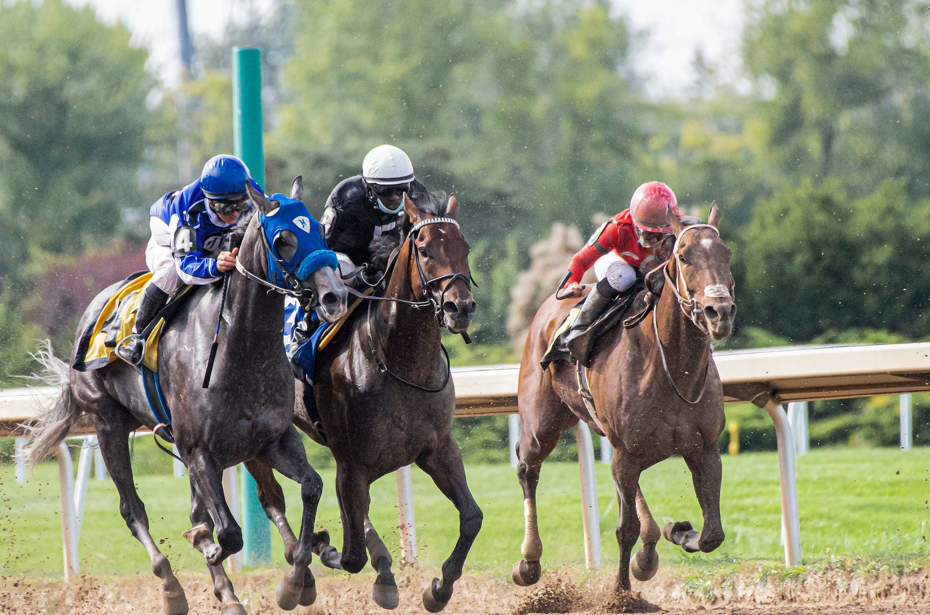 Three Race Meetings You Should Visit At Least Once | Reckon Talk