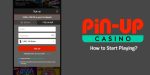 Why is pin-up betting so popular in India?