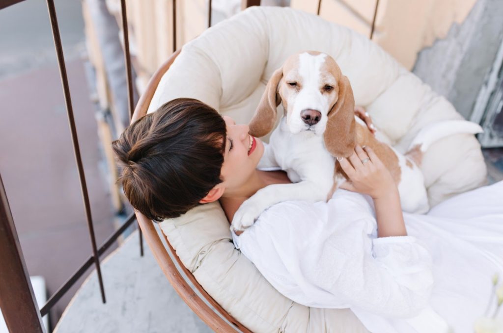 dog in the lap of lady