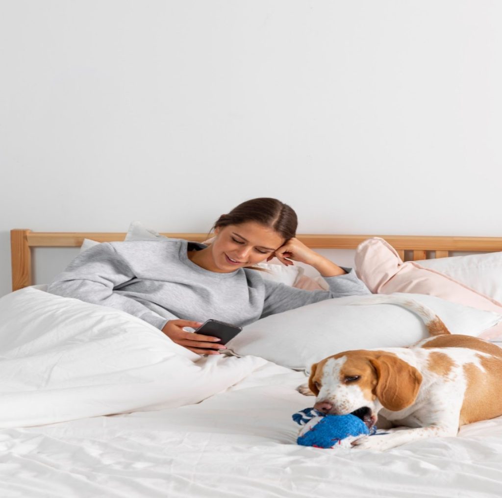 dog playing on bed