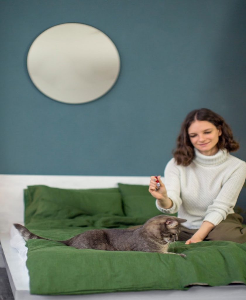 lady feeding hungry cat