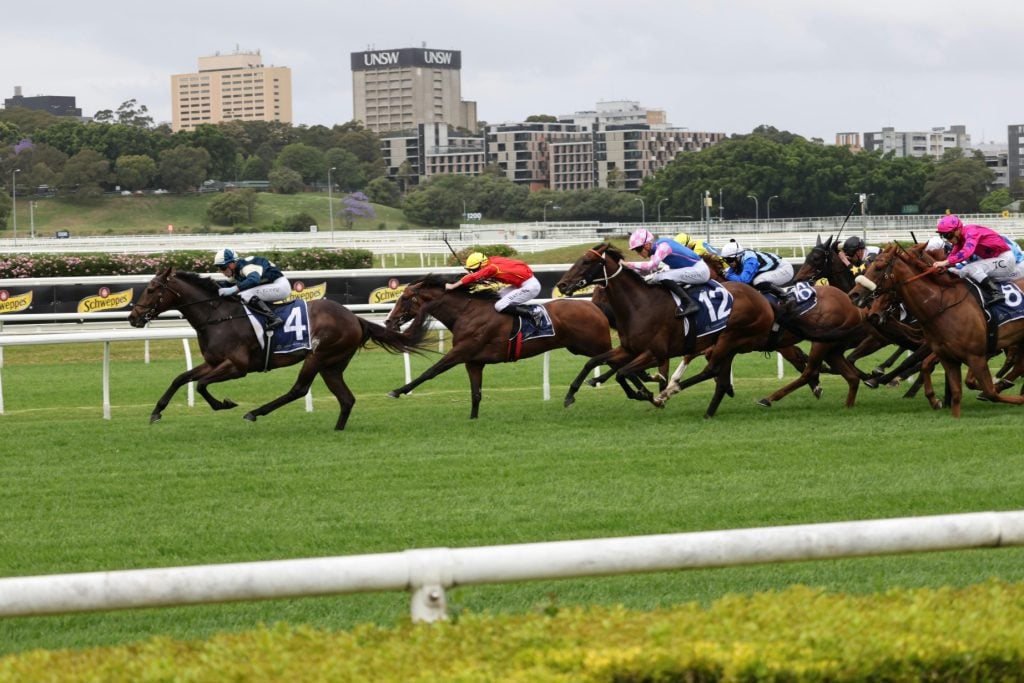 horse race at urban track